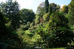 wuppertal-vorwerkpark-051