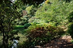 wuppertal-vorwerkpark-055