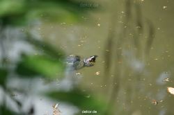 wuppertal-vorwerkpark-059