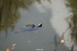 wuppertal-vorwerkpark-060
