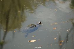 wuppertal-vorwerkpark-061