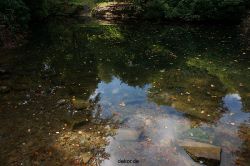 wuppertal-vorwerkpark-081
