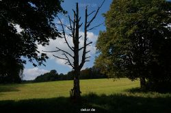 wuppertal-vorwerkpark-086