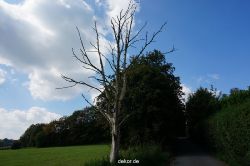wuppertal-vorwerkpark-092