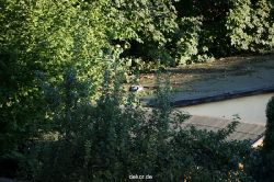 wuppertal-vorwerkpark-095
