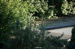 wuppertal-vorwerkpark-097