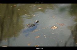 wuppertal-vorwerkpark-098