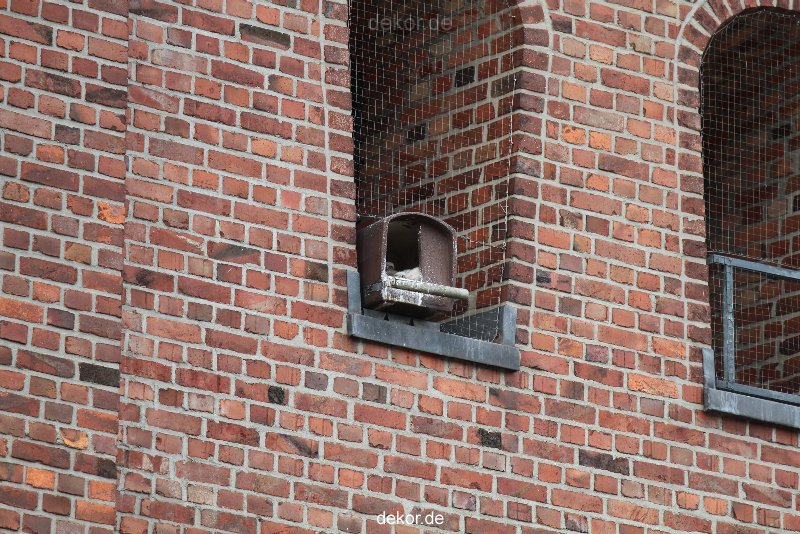 falkenhorst-sankt-antonius-2012-06-12-1-072