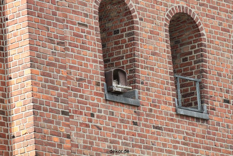 falkenhorst-sankt-antonius-2012-06-12-1-091