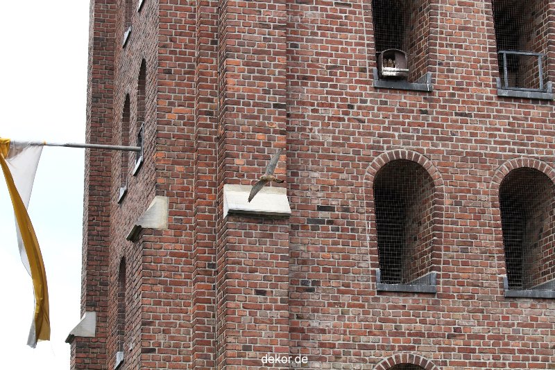 falkenhorst-sankt-antonius-2012-06-23-1-201