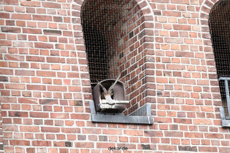 falkenhorst-sankt-antonius-2012-06-23-1-238