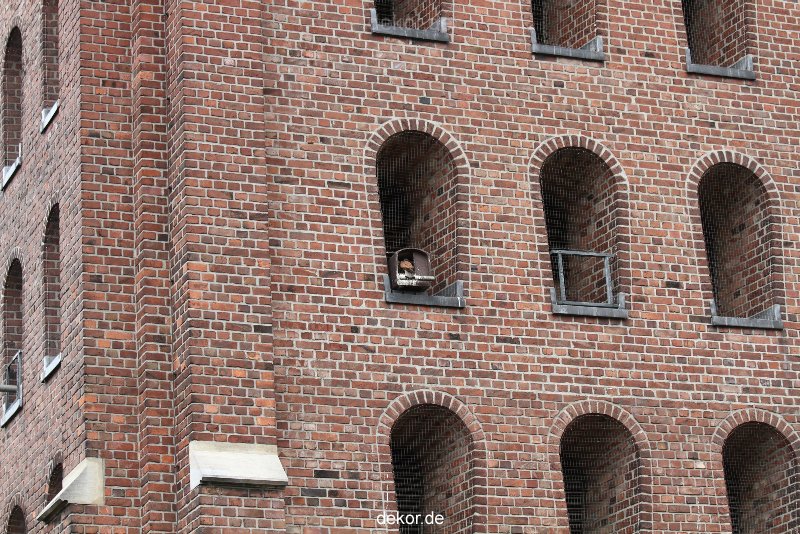 falkenhorst-sankt-antonius-2012-06-23-1-242