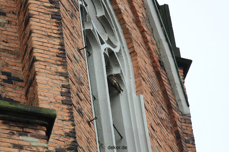 falkenhorst-trinitaskirche-2012-06-12-1-022