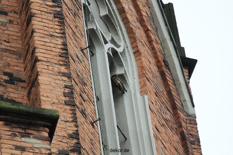 falkenhorst-trinitaskirche-2012-06-12-1-023