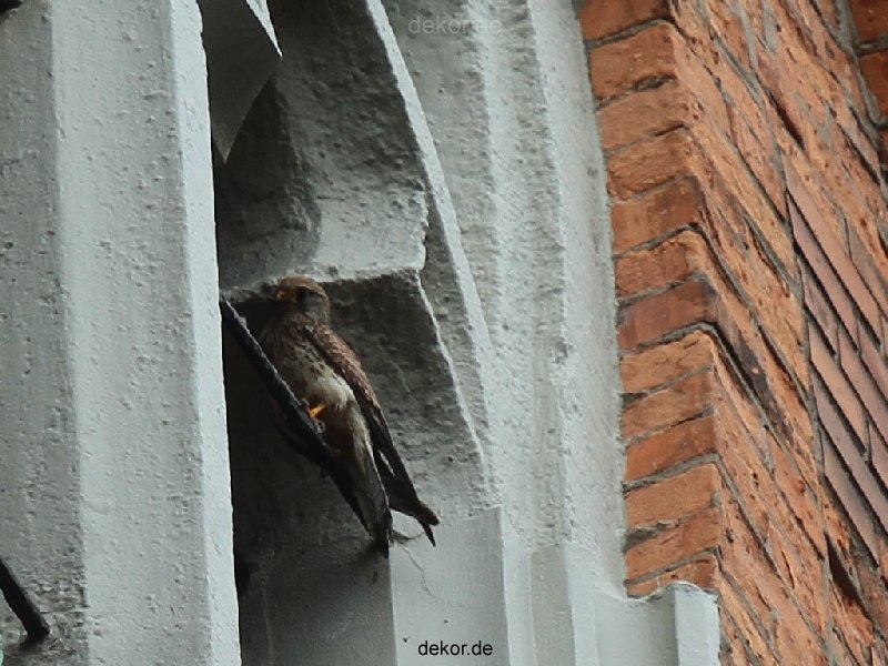 falkenhorst-trinitaskirche-2012-06-12-1-026
