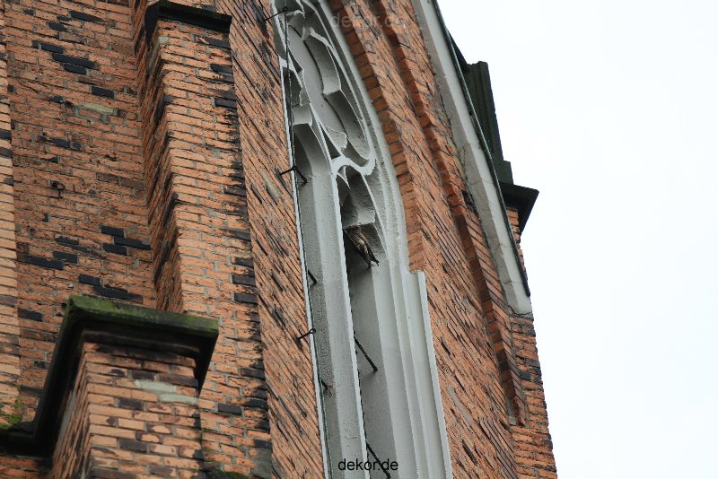 falkenhorst-trinitaskirche-2012-06-12-1-028