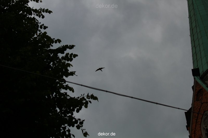 falkenhorst-trinitaskirche-2012-06-12-2-001
