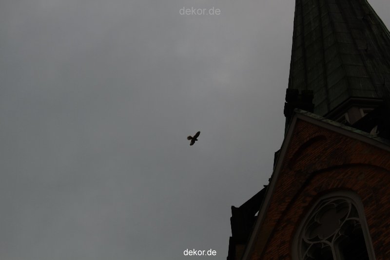 falkenhorst-trinitaskirche-2012-06-12-2-021