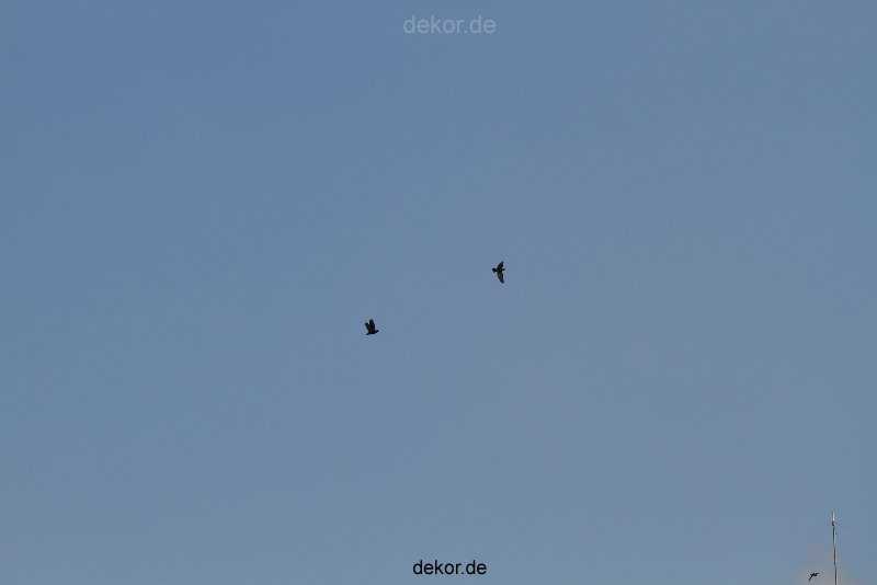 falkenhorst-wuppertal1-110-das-heizkraftwerk-012