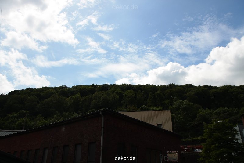 falkenhorst-wuppertal1-2012.06.15-was-geschah-bisher-005