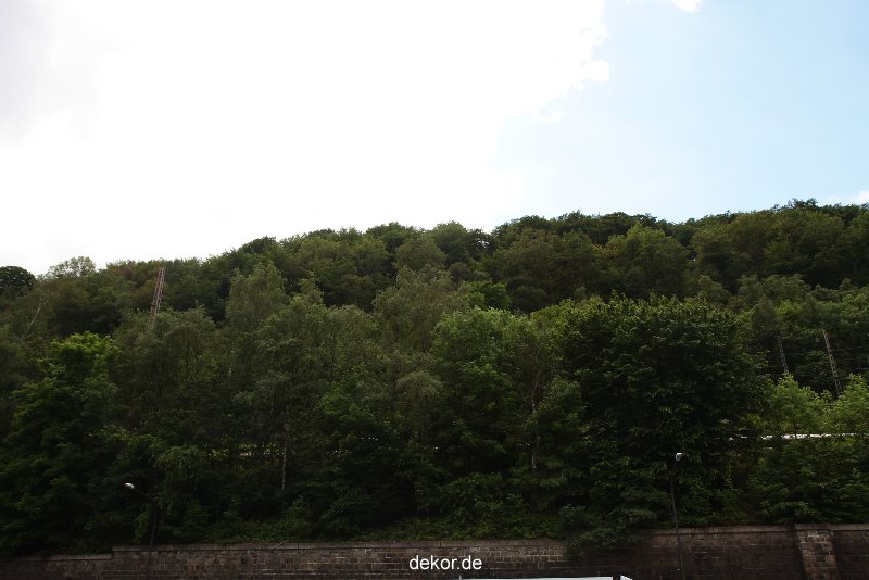 falkenhorst-wuppertal1-2012.06.15-was-geschah-bisher-006