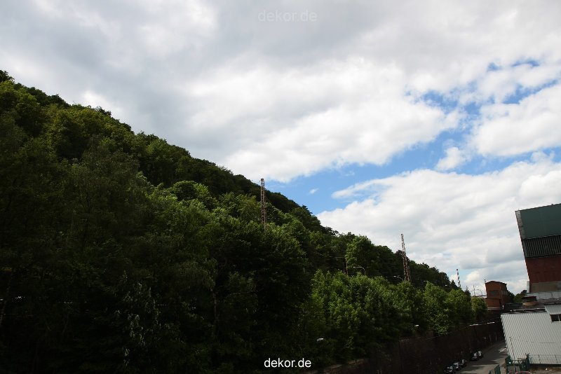 falkenhorst-wuppertal1-2012.06.15-was-geschah-bisher-009