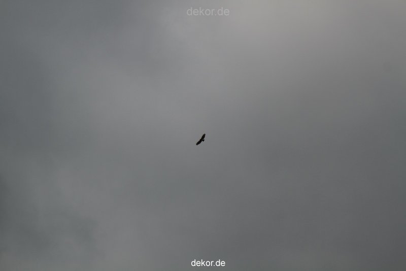 falkenhorst-wuppertal1-2012.06.15-was-geschah-bisher-014