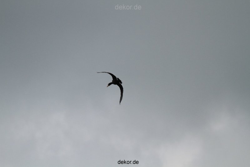 falkenhorst-wuppertal1-2012.06.15-was-geschah-bisher-017