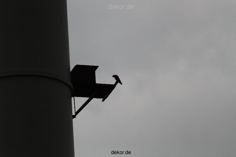 falkenhorst-wuppertal2-barmnen-2012.06.08-am-horst-007