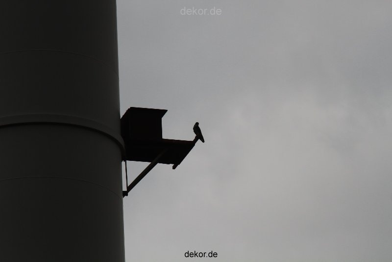 falkenhorst-wuppertal2-barmnen-2012.06.08-am-horst-008