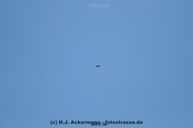 falkenhorst-wuppertal2-barmnen-2012.06.08-ueberflug2-001