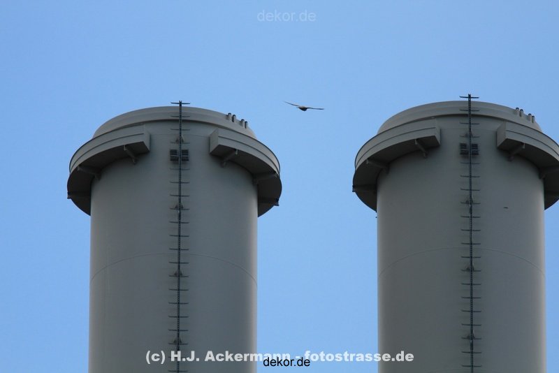 falkenhorst-wuppertal2-barmnen-2012.06.08-ueberflug2-015