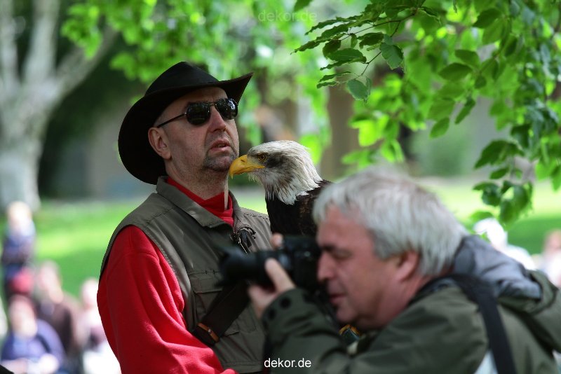 grugapark-greifvogelschau-2012-04-004