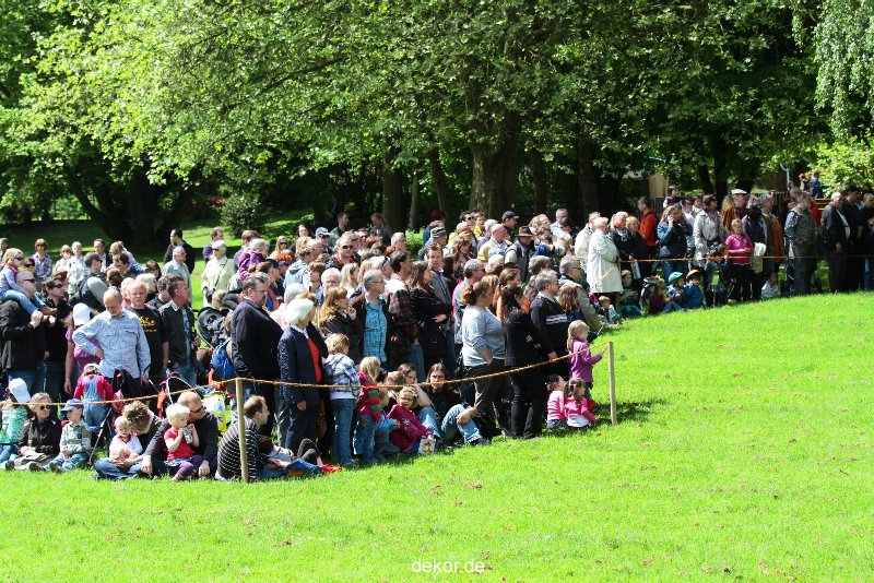 grugapark-greifvogelschau-2012-04-020