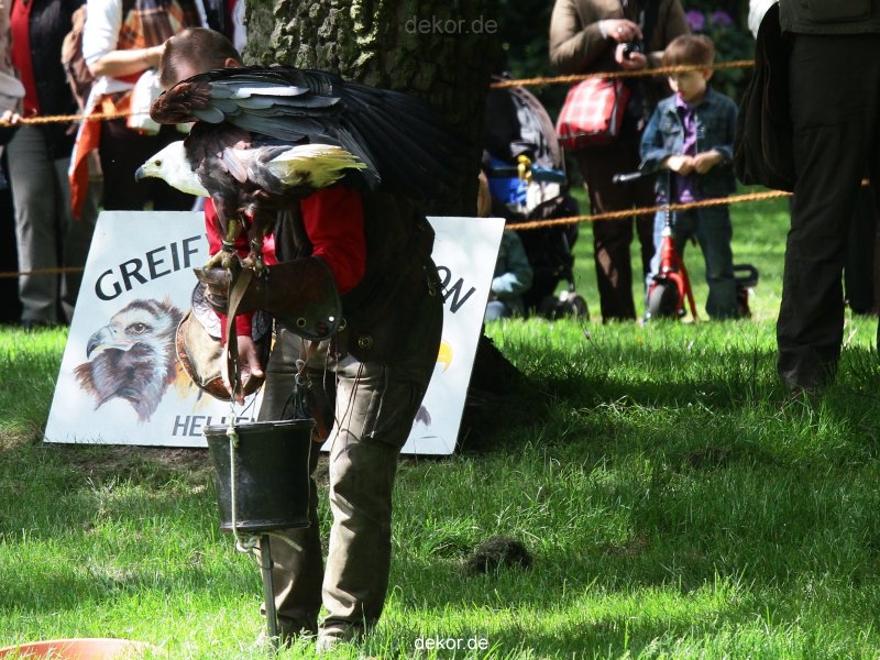 grugapark-greifvogelschau-2012-04-022