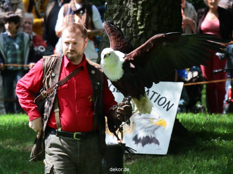grugapark-greifvogelschau-2012-04-023