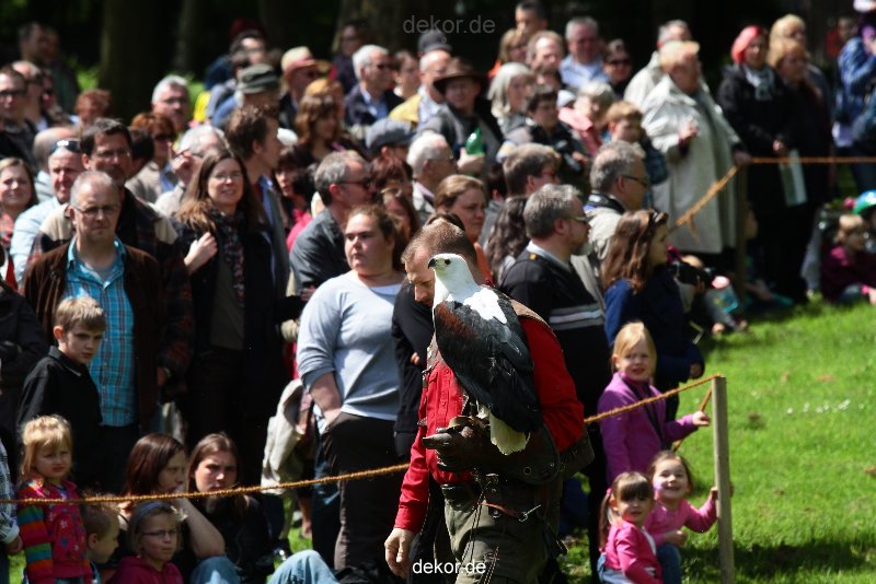 grugapark-greifvogelschau-2012-04-025