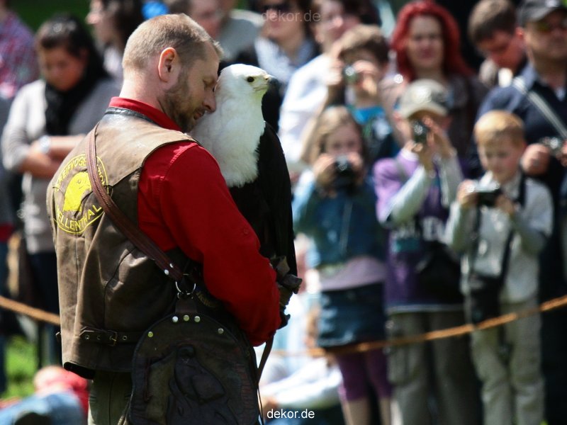 grugapark-greifvogelschau-2012-04-029