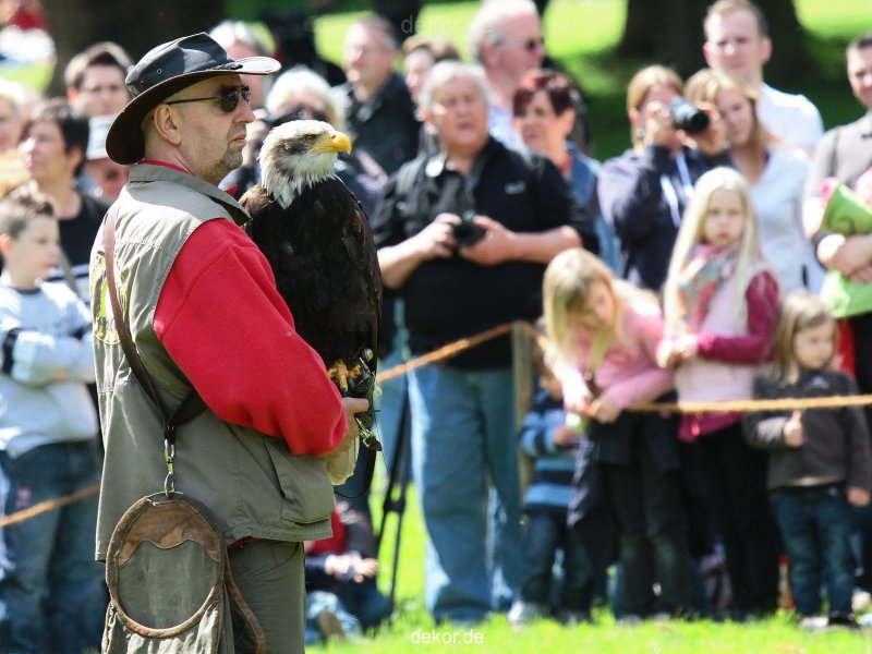 grugapark-greifvogelschau-2012-04-033