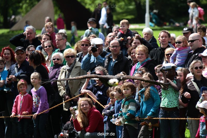 grugapark-greifvogelschau-2012-04-112
