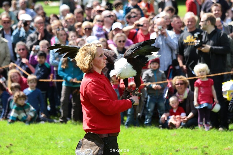 grugapark-greifvogelschau-2012-04-147