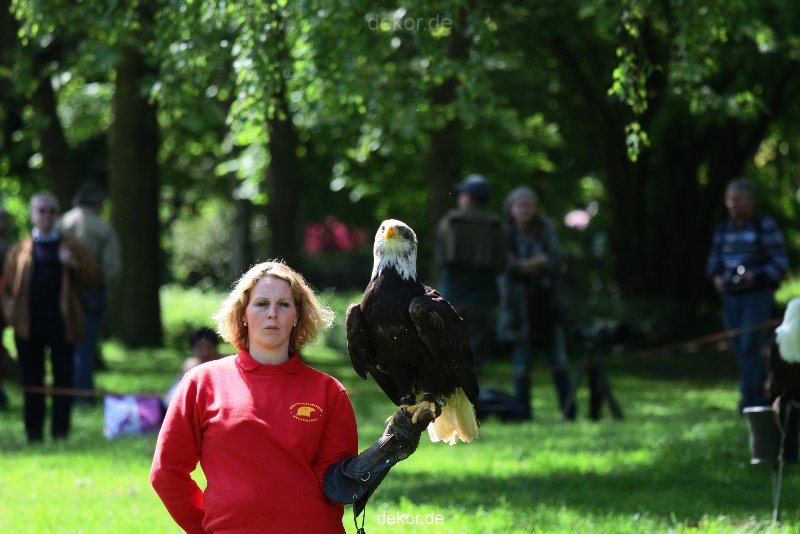 grugapark-greifvogelschau-2012-04-212