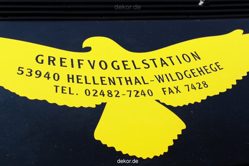 grugapark-greifvogelschau-2012-04-239