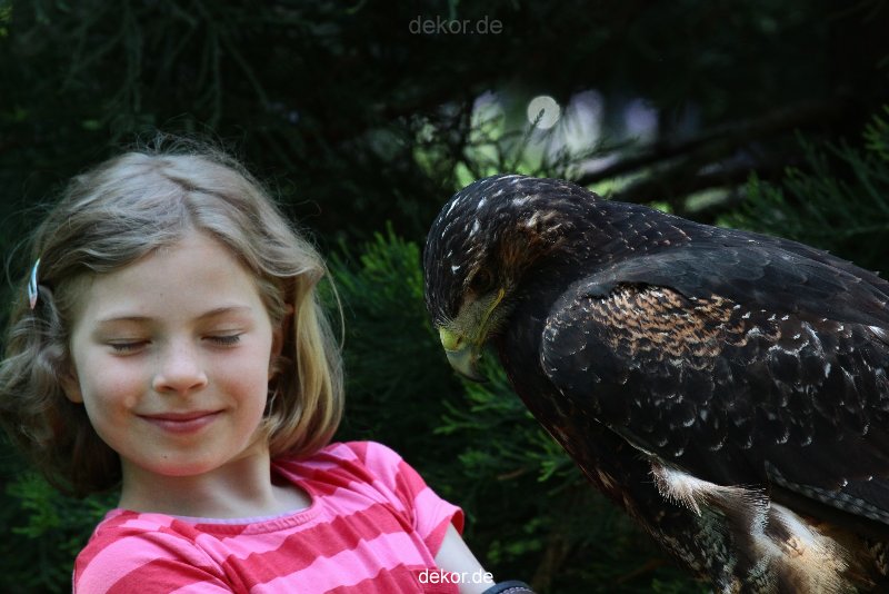grugapark-greifvogelschau-2012-04-301
