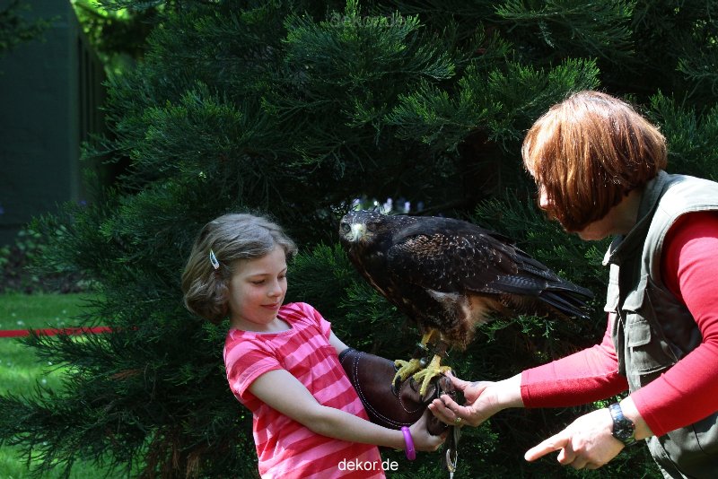 grugapark-greifvogelschau-2012-04-304