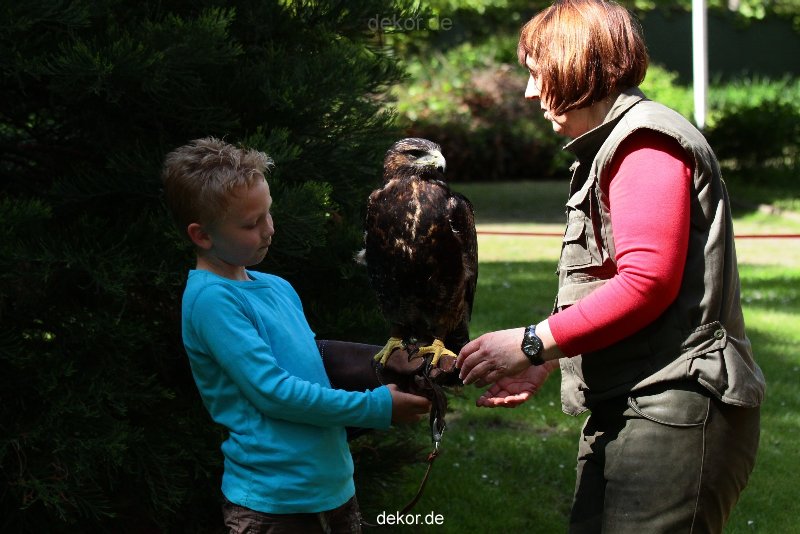 grugapark-greifvogelschau-2012-04-316