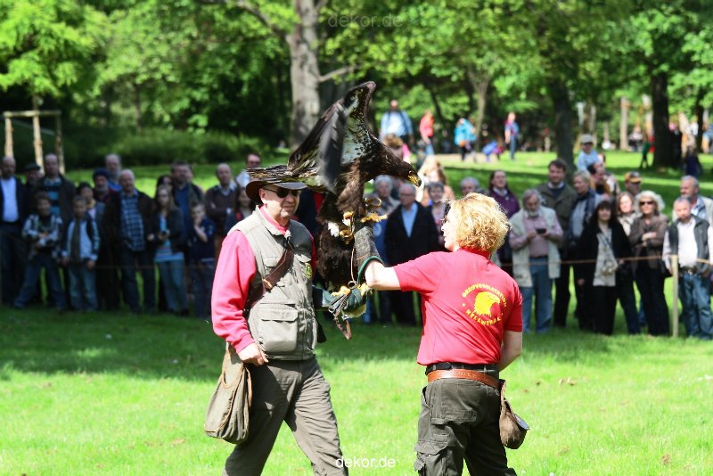 grugapark-greifvogelschau-2012-04-325