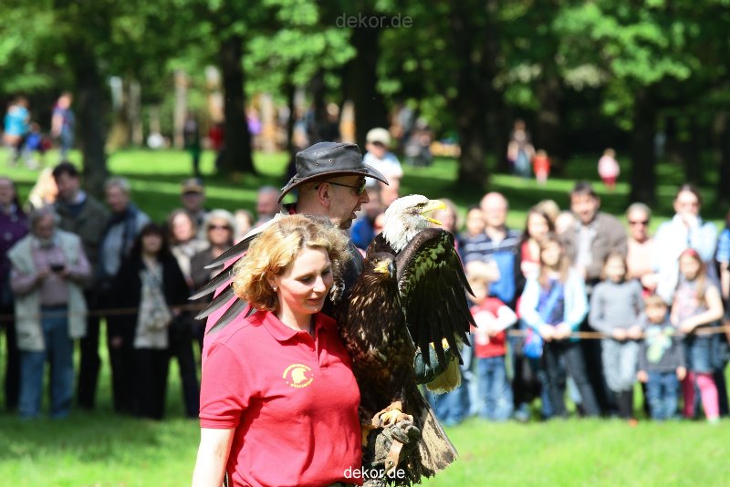 grugapark-greifvogelschau-2012-04-327