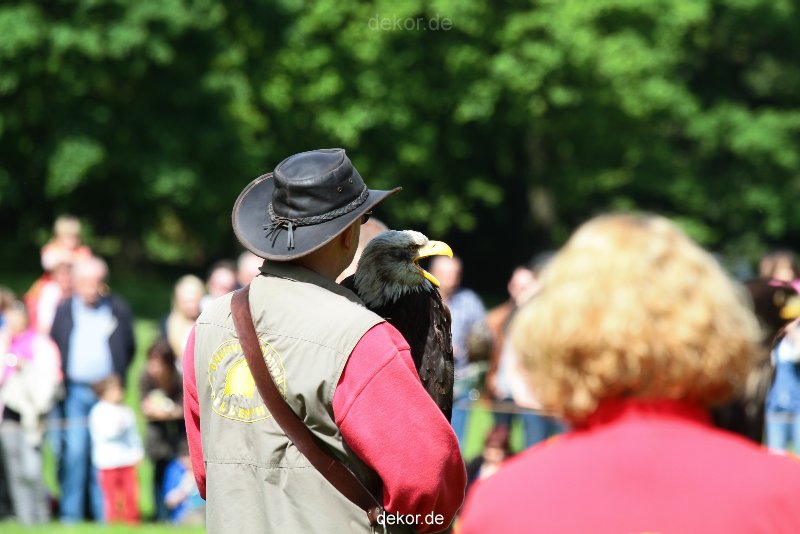 grugapark-greifvogelschau-2012-04-333