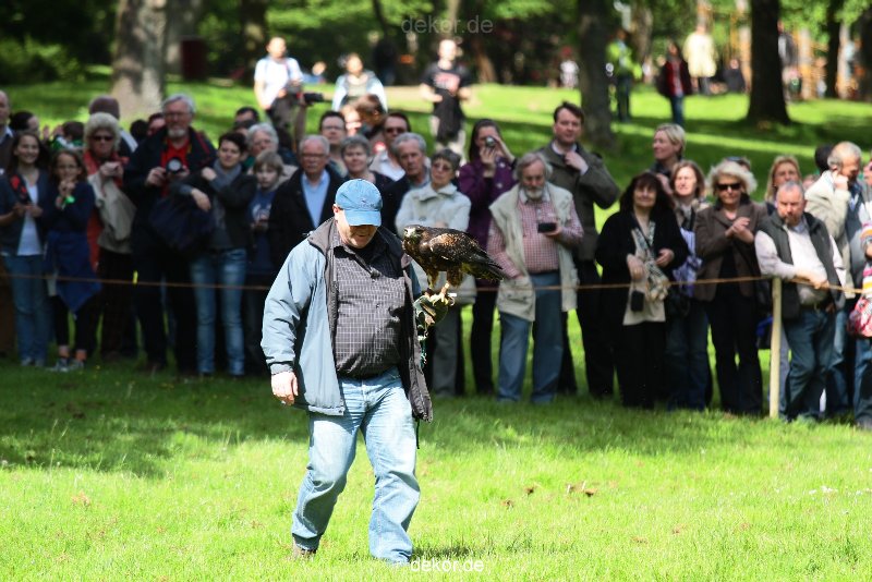 grugapark-greifvogelschau-2012-04-336